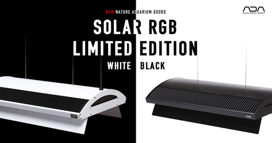 New Release of Solar RGB Limited Edition White / Black