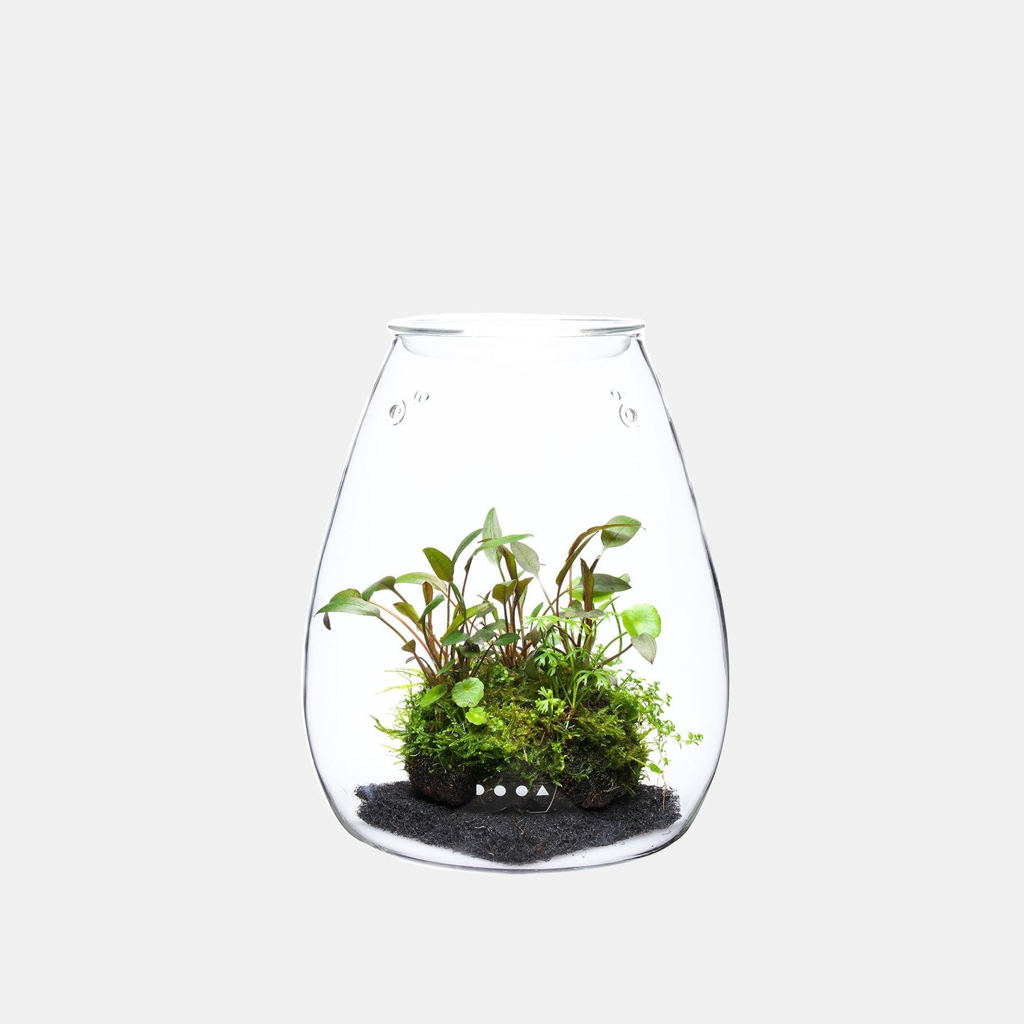 DOOA Glass Pot SHIZUKU